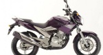 2011-Yamaha-FZ25-Fazer-250-slated-for-India-side-profile-purple