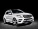 2012 Mercedes Benz ML350 CDI