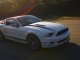 2013fordmustanggtsema 03 627x350