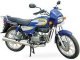 66herohondasplendor2