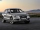 SetWidth600 Audi Q5 2013 7