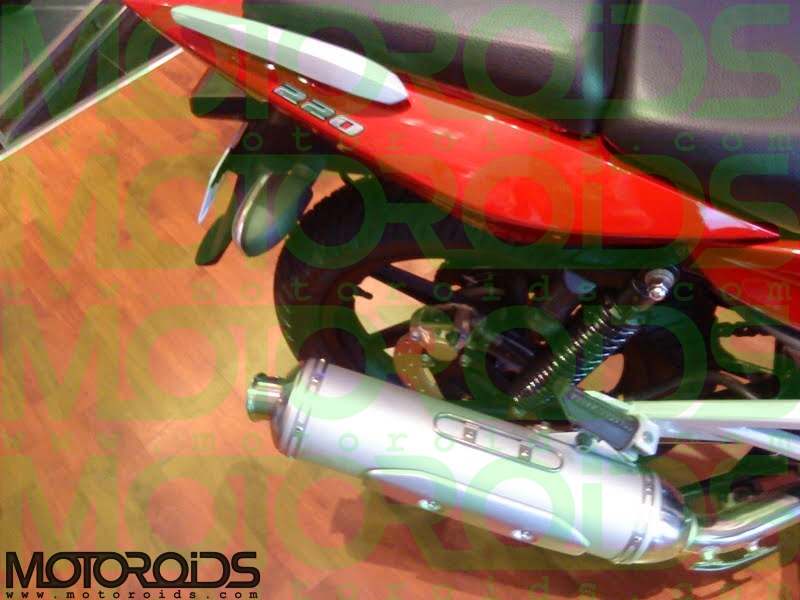 2010 Naked Pulsar 220 by Bajaj - www.motoroids.com