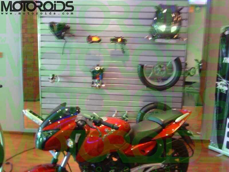 2010 Naked Pulsar 220 from Bajaj - www.motoroids.com