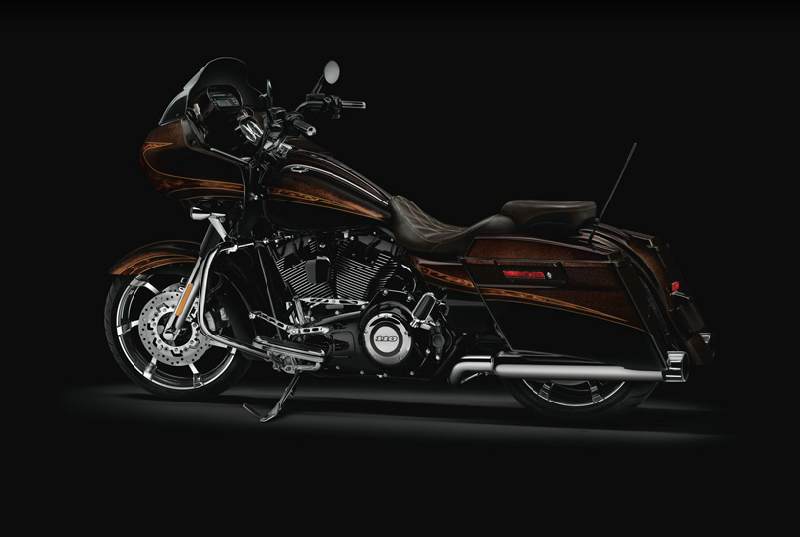 2012 Harley Davidson range (8)