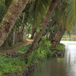 A road in Chennamkary