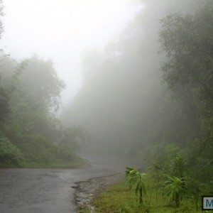 A On the Virajpet Thalaserry road