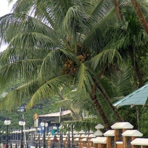 Another view of the waterfront park at Mahe