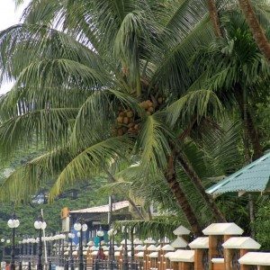 Another view of the waterfront park at Mahe