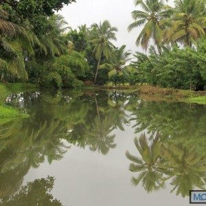 Reflections