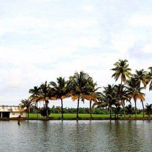 Sky water coconut trees