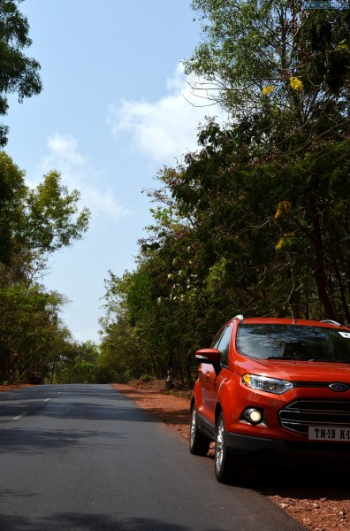 Ford EcoSport India Launch Date (305)