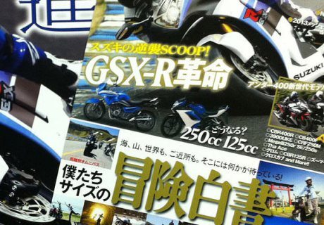 Suzuki-GSX250R-2