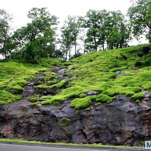 Mahindra Quanto Weekend Escape
