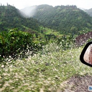 Mahindra Quanto Weekend Escape