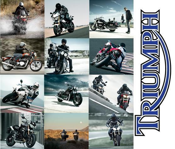 Triumph Motorcycles India Launch