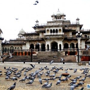Mumbai Delhi roadtrip via Udaipur and Jaipur in Skoda Superb