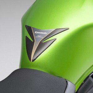 Kawasaki Ninja