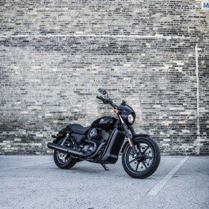 Harley Davidson Street  India Launch Pics