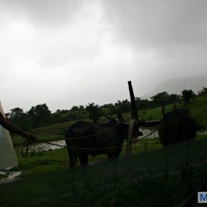 Tamhini and Pune Roadtrip in Skoda yetir