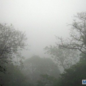 Tamhini and Pune Roadtrip in Skoda yetir