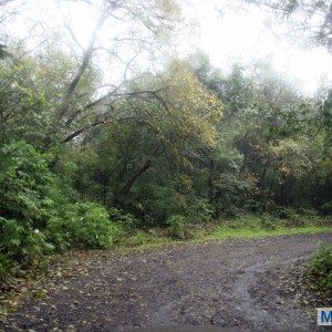Tamhini and Pune Roadtrip in Skoda yetir