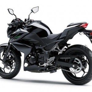 new kawasaki z india launch pics