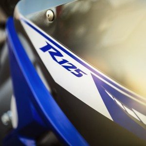 Yamaha R