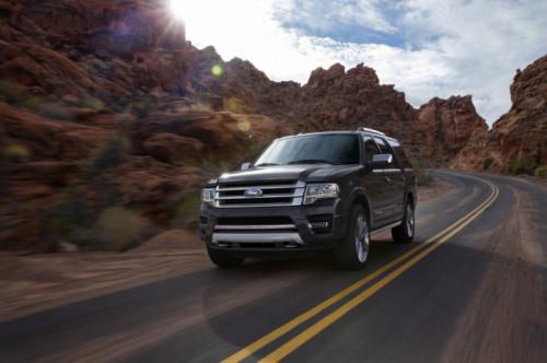 2015 Ford Expedition images 3