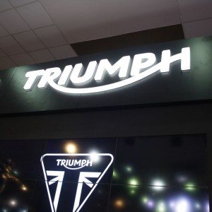 Triumph Motorcycles daytona  at Auto Expo