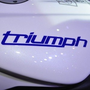 Triumph Motorcycles daytona  at Auto Expo