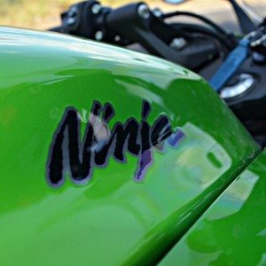 Kawasaki Ninja  Review