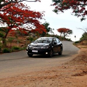 New  Toyota Corolla Action