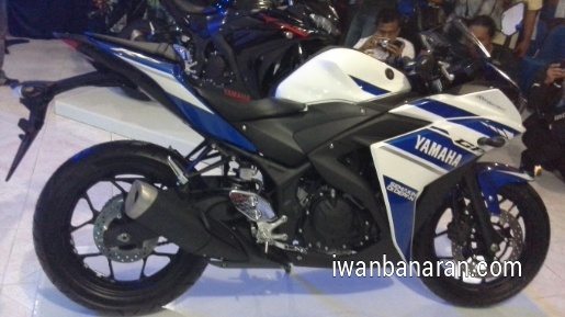 Yamaha R25 official production images (5)