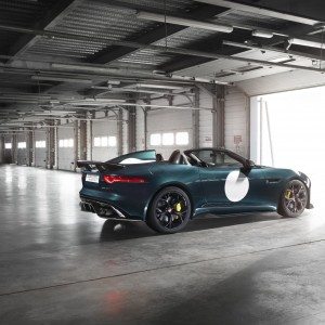 Jaguar F Type Project  image