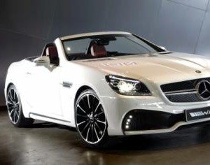 Mercedes SLK Black Bison Image