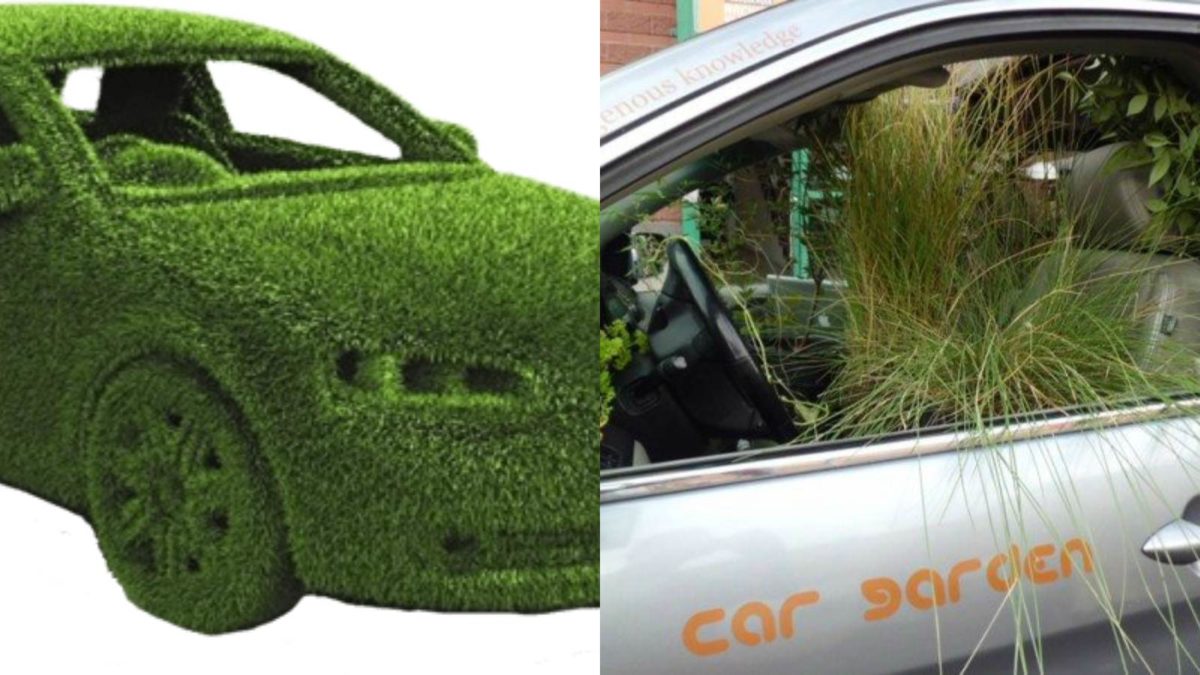 car's dashboard could be made of grass