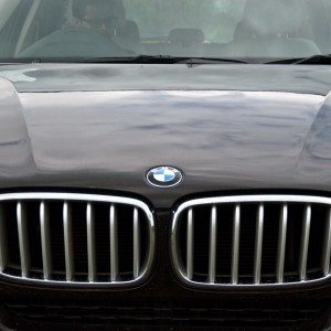 BMW X grille