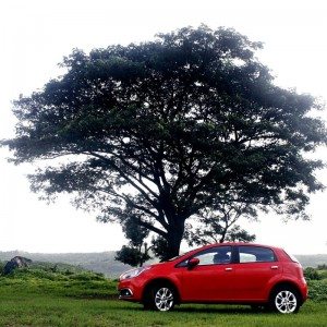 Punto Evo details