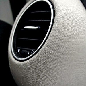 Punto Evo details