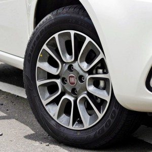 Punto Evo details