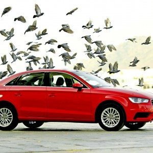 Audi A sedan India