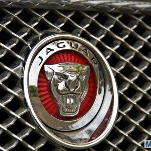 Jaguar XF details