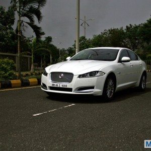 Jaguary XF