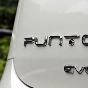 new  Punto Evo India