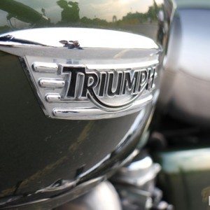 Triumph Thruxton Moniker