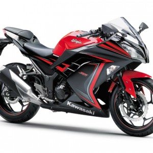 Kawasaki Ninja  Red