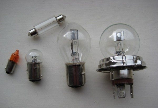 BULBS