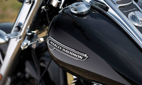 Harley Davidson Freewheeler (4)