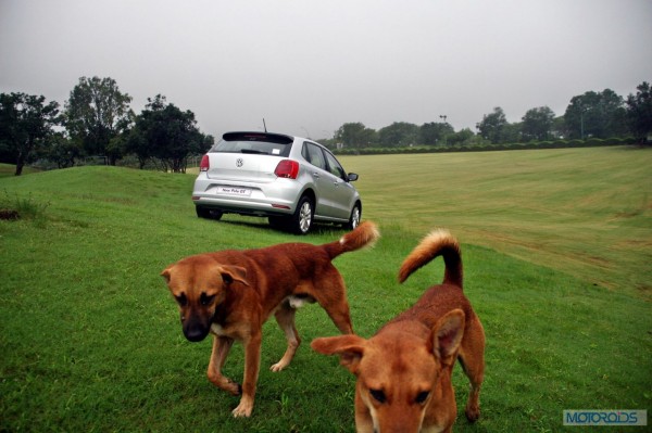 2014 Volkswagen Polo GT TDI (90)