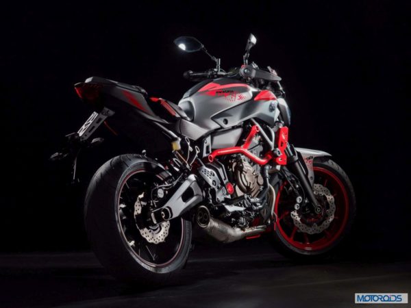 2015 Yamaha MT07 Moto Cage (13)